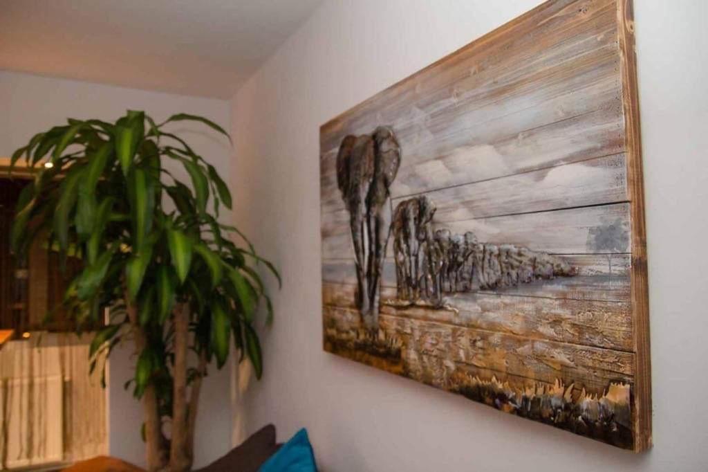 Colonial Touch Apartament Brassó Kültér fotó